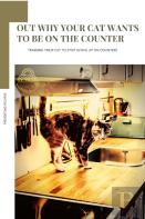 Out Why Your Cat Wants TãÂ¾ Be On ThãÂµ Counter
