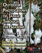 Outdoor Photography Of Japan