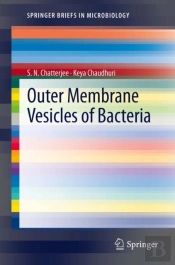 Outer Membrane Vesicles Of Bacteria
