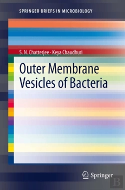Bertrand.pt - Outer Membrane Vesicles Of Bacteria