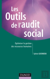 Outils De L'Audit Social