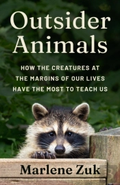 Outsider Animals