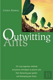 Outwitting Ants