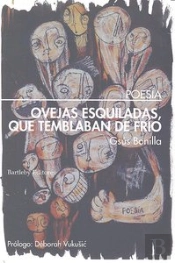 Ovejas Esquiladas Que Temblaban De Frio
