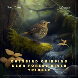 Bertrand.pt - Ovenbird Chirping Near Forest River Trickle