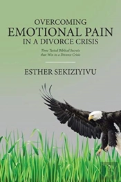Overcoming Emotional Pain In A Divorce Crisis