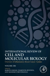 Overview Of Inflammatory Breast Cancer: Updates