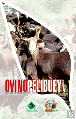 Bertrand.pt - Ovino Pelibuey