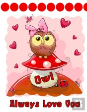 Owl Always Love You: Discreet Internet W