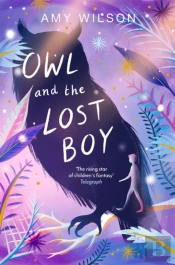 Owl And The Lost Boy