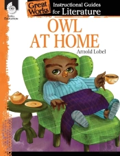 Owl At Home