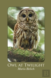 Owl At Twilight