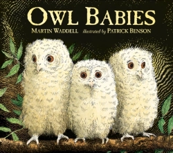 Bertrand.pt - Owl Babies