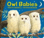 Owl Babies