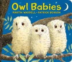 Bertrand.pt - Owl Babies
