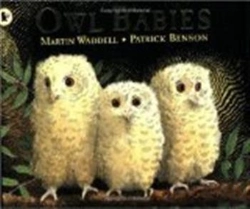 Bertrand.pt - Owl Babies