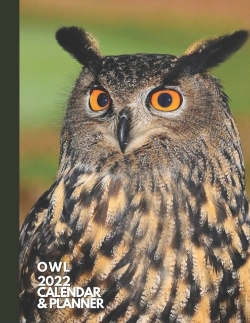 Bertrand.pt - Owl