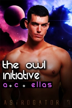 Bertrand.pt - Owl Initiative