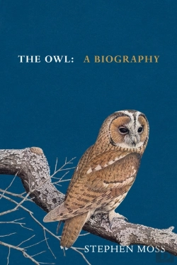Bertrand.pt - Owl