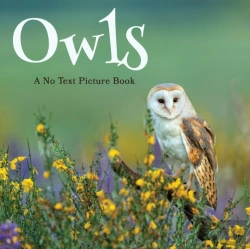 Bertrand.pt - Owls, A No Text Picture Book