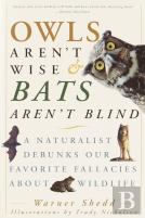 Owls Aren'T Wise & Bats Aren'T Blind