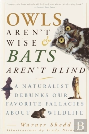 Owls Aren'T Wise & Bats Aren'T Blind