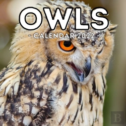 Bertrand.pt - Owls Calendar 2022