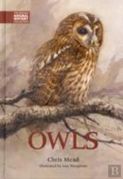 Bertrand.pt - Owls