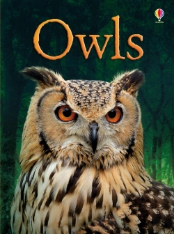 Bertrand.pt - Owls