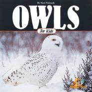 Owls For Kids
