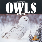 Owls For Kids