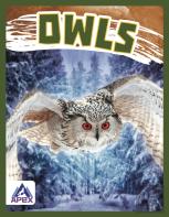 Owls