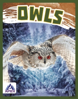 Bertrand.pt - Owls