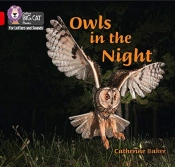 Owls In The Night