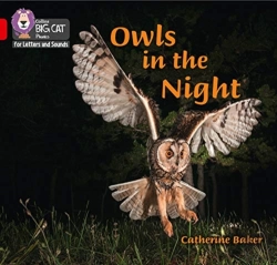 Bertrand.pt - Owls In The Night