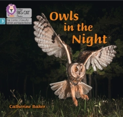 Bertrand.pt - Owls In The Night
