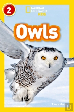 Bertrand.pt - Owls