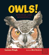 Owls!