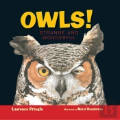 Owls!
