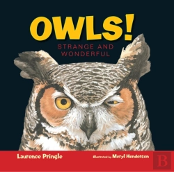 Bertrand.pt - Owls!