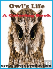 Owl'S Life