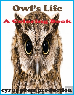 Bertrand.pt - Owl'S Life