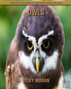 Bertrand.pt - Owls