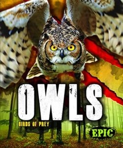 Bertrand.pt - Owls