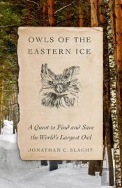 Owls Of The Eastern Ice