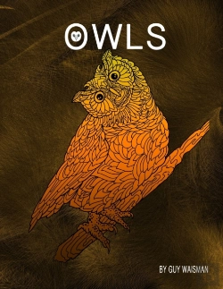 Bertrand.pt - Owls: Owls - This Book Is A Collection O