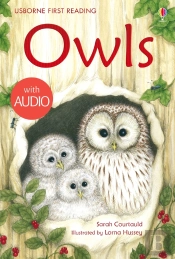 Owls
