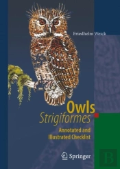 Owls (Strigiformes)