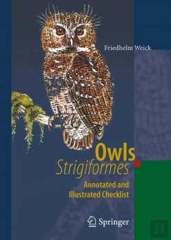 Bertrand.pt - Owls (Strigiformes)