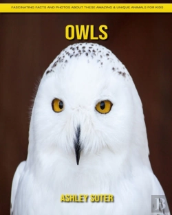 Bertrand.pt - Owls